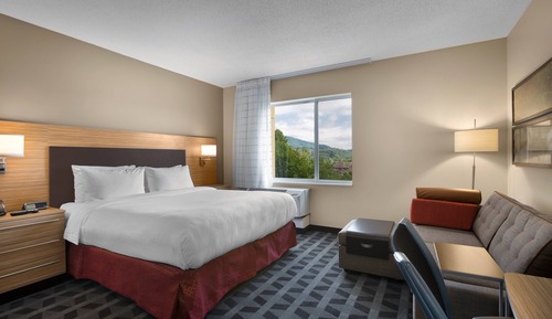 Studio, 1 King Bed with Sofa bed, Non Smoking, Mountain View