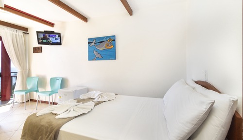 Basic Double Room