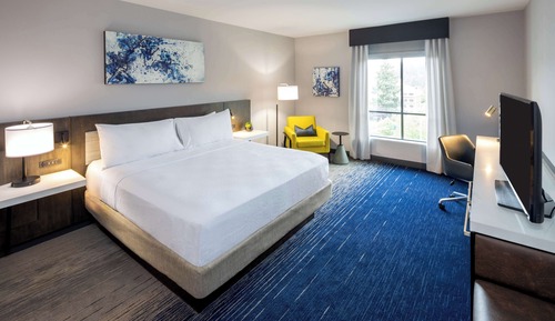 Room, 1 King Bed, Accessible, Bathtub (Hearing)