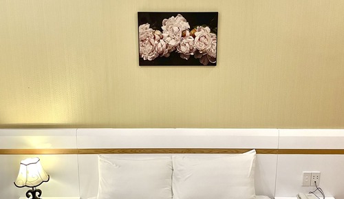 Standard Double Room, No Windows