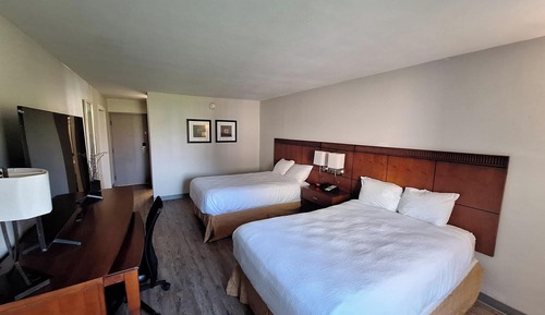 Premium Double Room