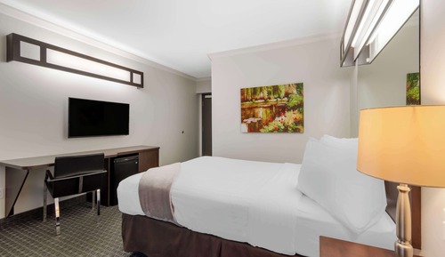 Standard Room, 1 Queen Bed, Non Smoking