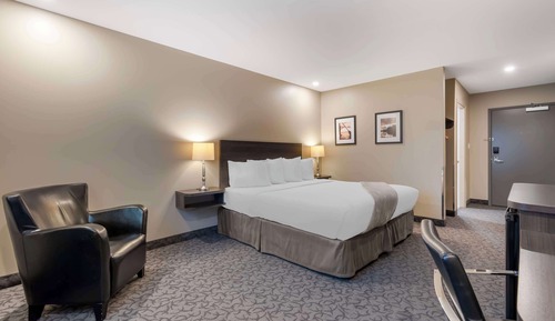 Standard Room, 1 King Bed, Accessible, Refrigerator & Microwave (Pet Friendly)