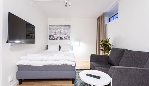 Studio Apartment Basement