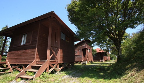 Bungalow