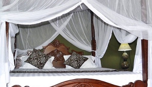 Luxury Tent