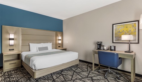 Standard Room, 1 King Bed, Accessible, Refrigerator & Microwave
