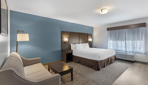 Standard Room, 1 King Bed, Non Smoking, Refrigerator & Microwave (Shower Only; Sofabed)