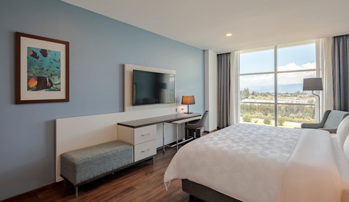 Standard Room, 1 King Bed