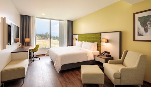 Standard Room, 1 King Bed, Mountain View