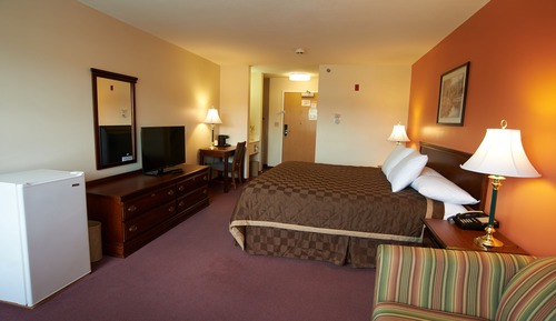 Standard Single Room, 1 King Bed