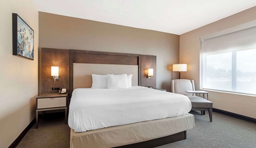 Standard Room, 1 King Bed, Non Smoking, Kitchenette (Shower Only)