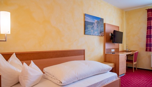 Classic Single Room (Gästehaus)