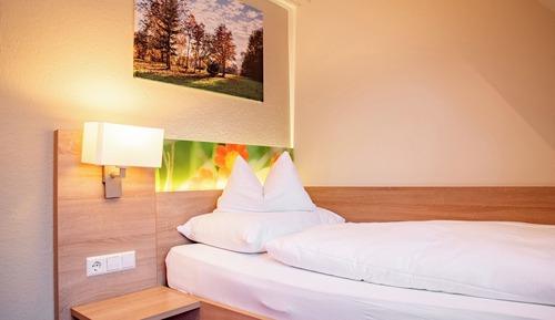 Comfort Single Room