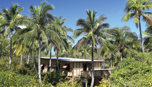 Shared Dormitory (Paradise)