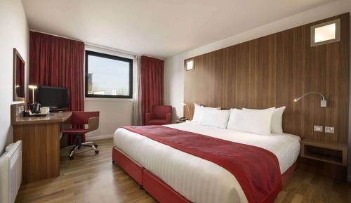 Room, 1 King Bed