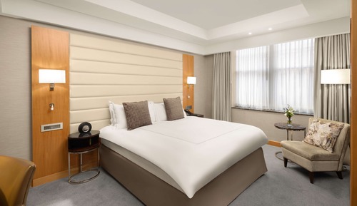 King Executive Room With Lounge Access