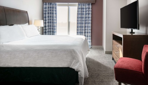Room, 1 King Bed