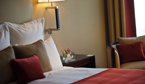 Room, 1 King Bed, Non Smoking, Mountain View