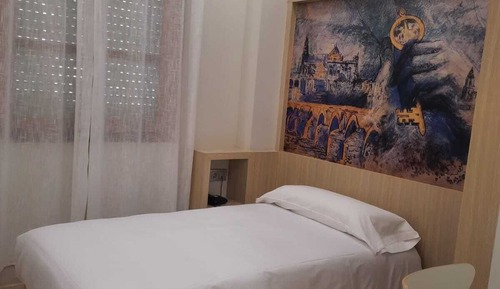 Superior Single Room