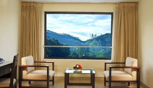 Valley View Room