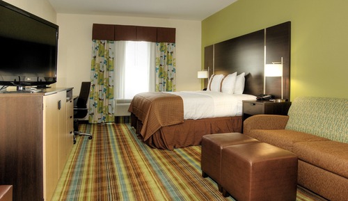 Standard Room, 1 King Bed with Sofa bed