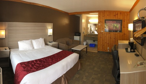 Room, 1 King Bed