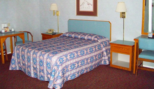 One queen bed non smoking