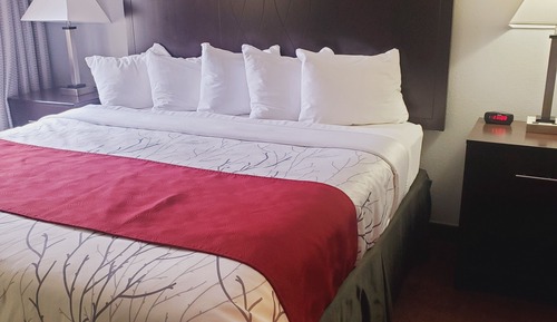 Studio Suite, 1 King Bed