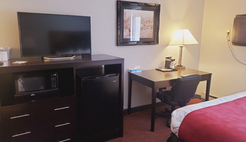 Pet Friendly Room