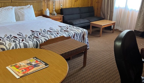 Standard Room, 1 King Bed with Sofa bed