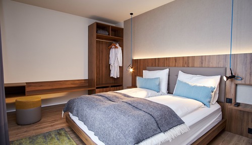 Suite, 1 King Bed with Sofa bed