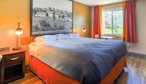 Room, 1 King Bed, Non Smoking