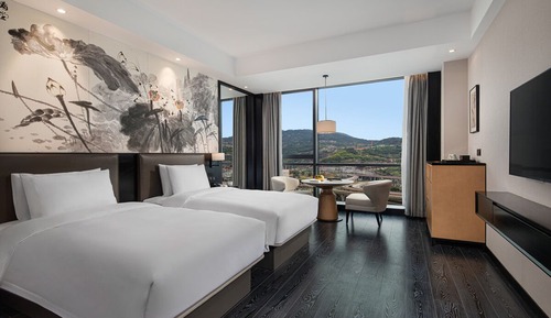 Superior Twin Room, Mountain View