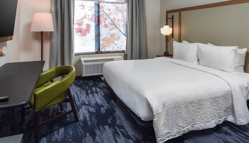 Room, 1 King Bed