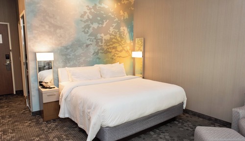 Room, 1 King Bed (Mobility/Hearing Access, Roll-In Shwr)