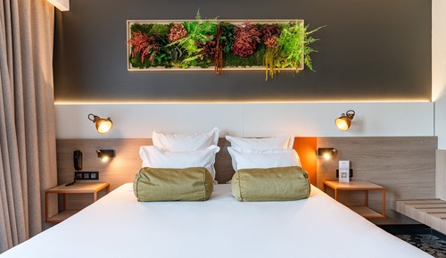 Superior Room, Terrace