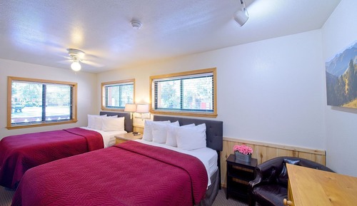 Standard Apartment, 1 Bedroom, Mountain View