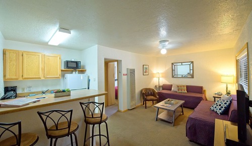Standard Apartment, 1 Bedroom, Mountain View (503)