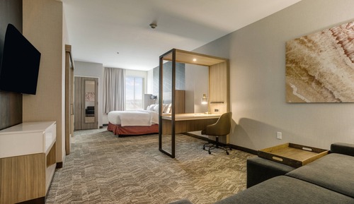 Suite, 1 King Bed with Sofa bed (Hearing Accessible)