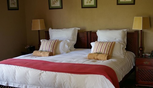 Luxury Suite