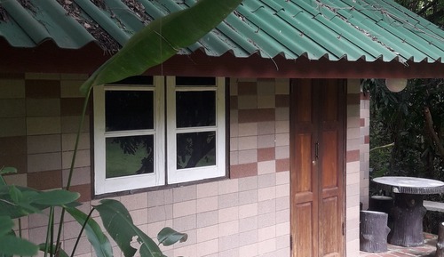Standard Bungalow