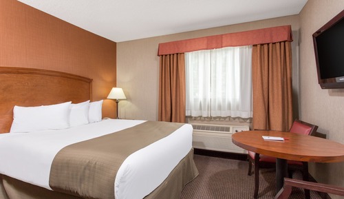 Deluxe Single Room, 1 Queen Bed