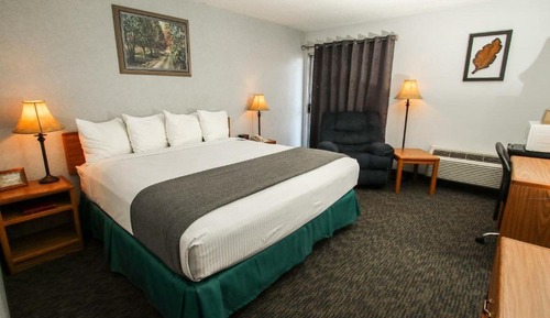 Basic Single Room, 1 Queen Bed, Refrigerator & Microwave