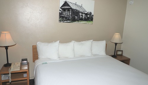 Basic Single Room, 2 Double Beds, Refrigerator & Microwave