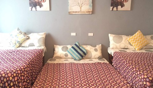 Deluxe Dormitory