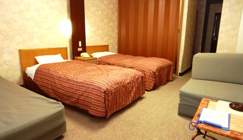 Western-Style Room, Private Bathroom
