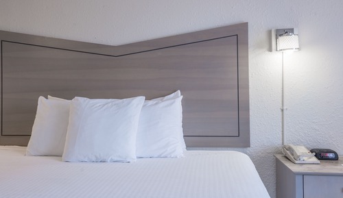 Standard Room, 1 King Bed with Sofa bed