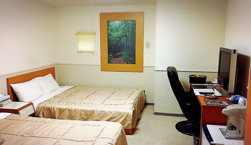 Twin Room (Small Window, Half Board)