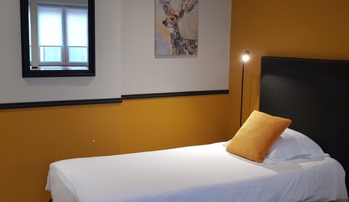 Comfort Twin Room